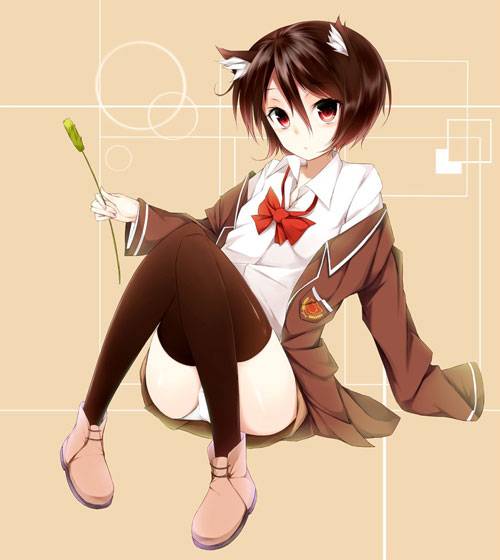 二次元猫耳娘福利图片析(图3)