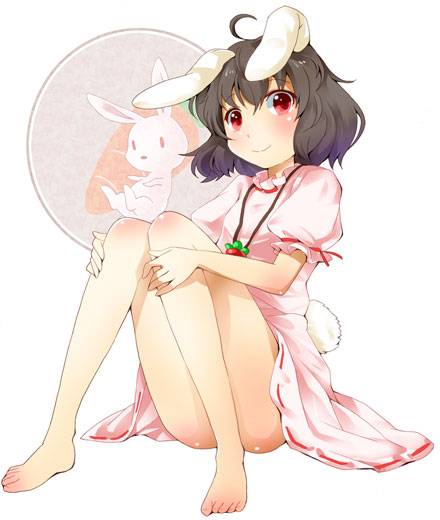 妖怪兔因幡帝图片(图4)