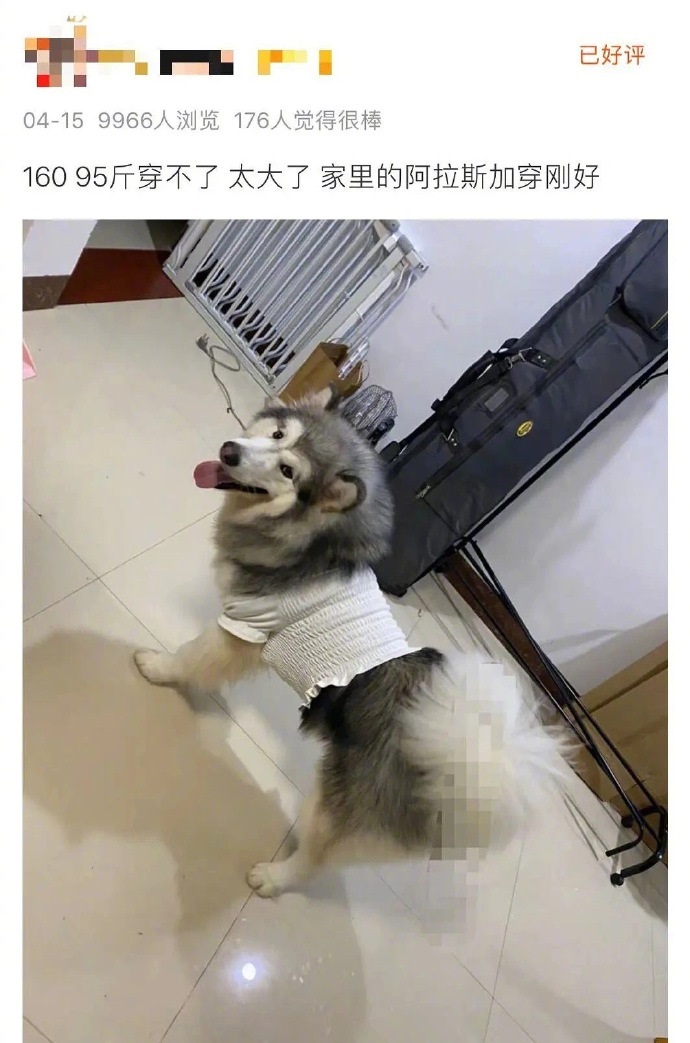 让卖家崩溃的买家秀，而且买家给的还是“好评”(图1)