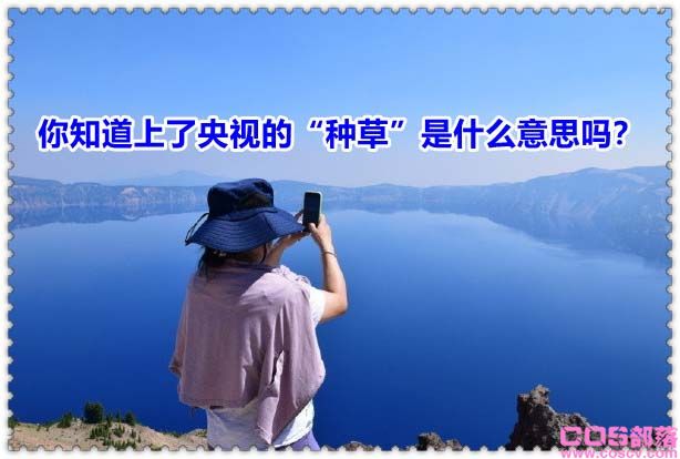 种草经济藏猫腻 你知道上了央视的“种草”是什么意思吗？(图3)