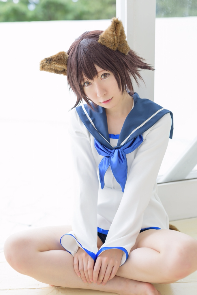 兽耳娘(图1)