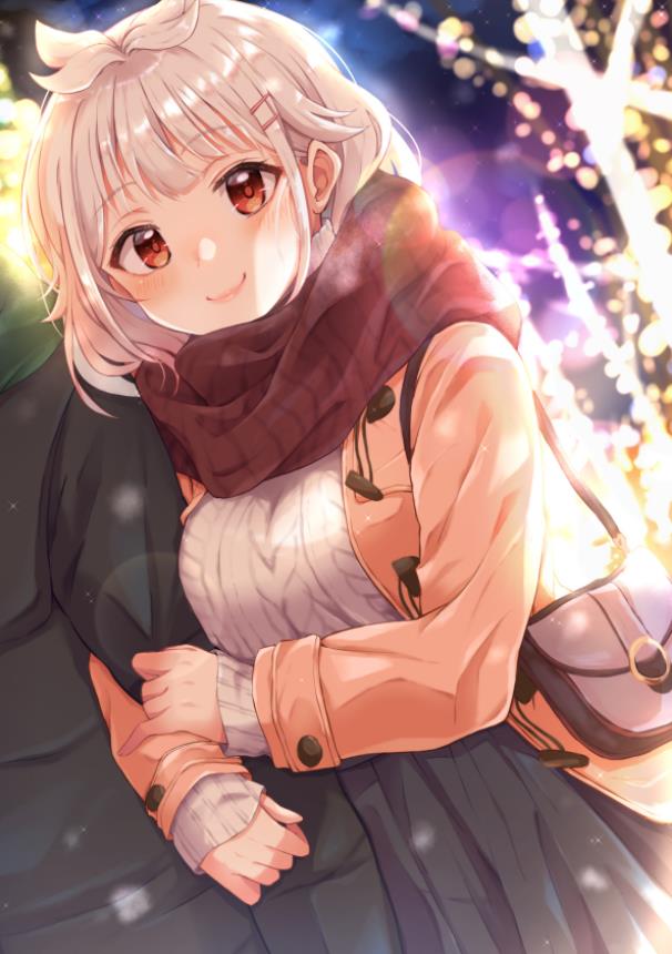 [Pixiv精选] 冬季夜晚的亮点之一！彩灯插画特辑(图8)
