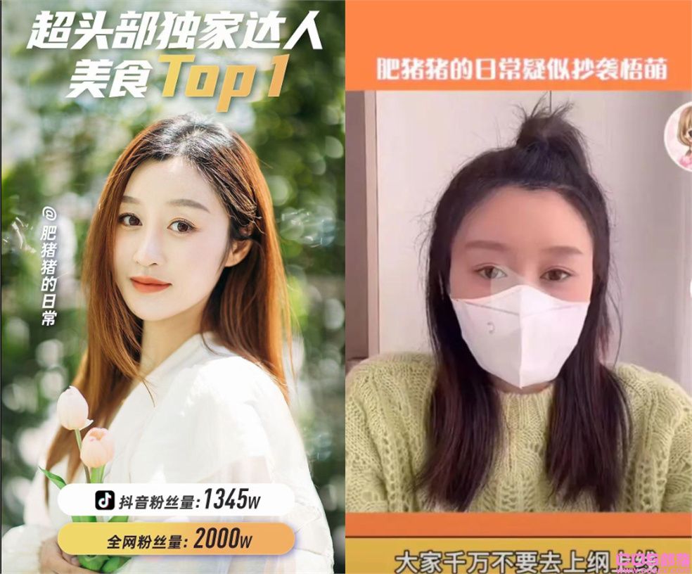 肥猪猪的日常翻车抄袭事件 具体怎么回事？(图1)