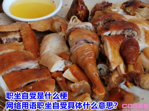 职坐自受是什么梗 网络用语职坐自受具体什么意思？(图2)