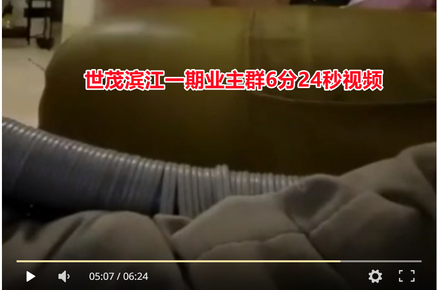 你如何看待“世茂滨江一期业主群6分24秒视频”一事？(图1)
