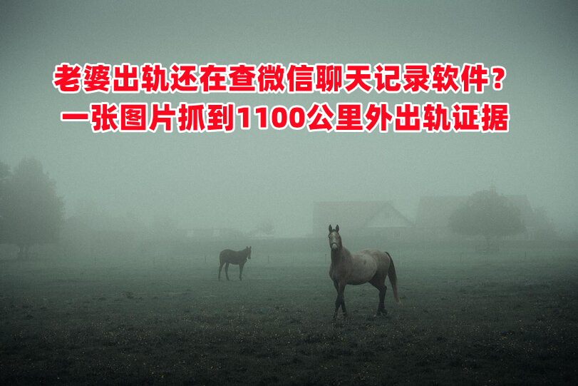 老婆出轨还在查微信聊天记录软件？ 用一张图片抓到1100公里外出轨证据(图1)