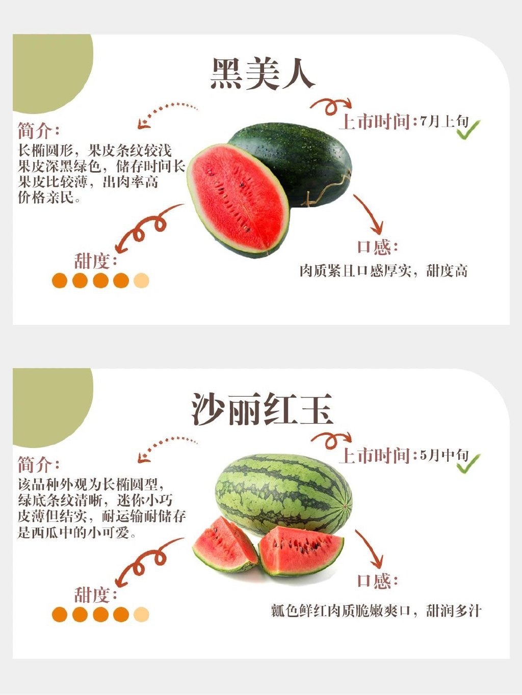 梦中情瓜文案什么梗？ 如何挑到梦中情瓜？(图2)