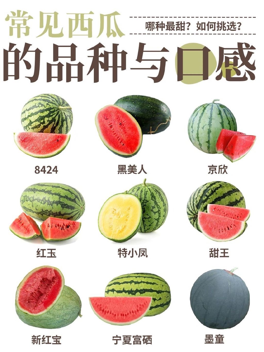 梦中情瓜文案什么梗？ 如何挑到梦中情瓜？(图1)