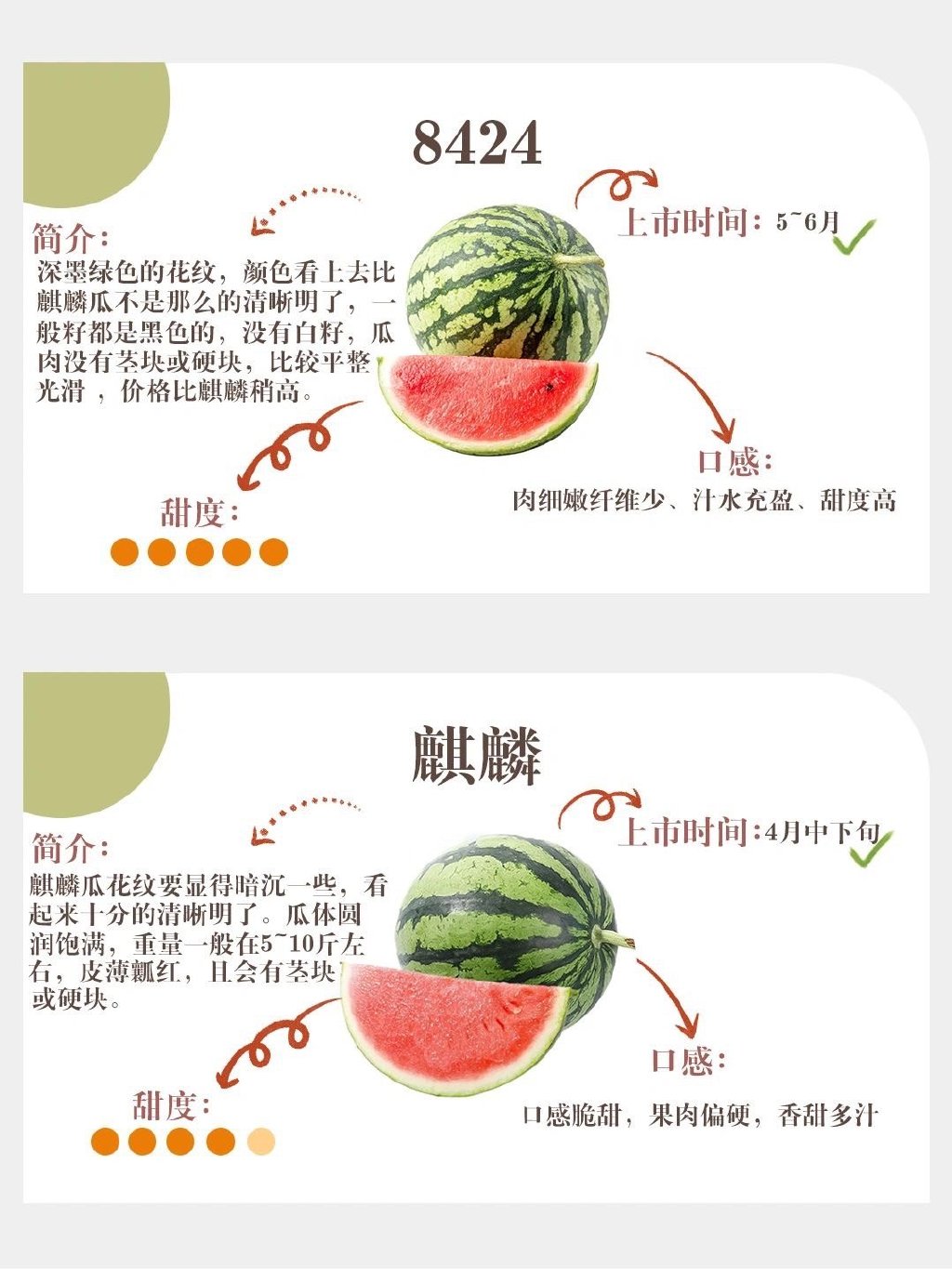 梦中情瓜文案什么梗？ 如何挑到梦中情瓜？(图5)