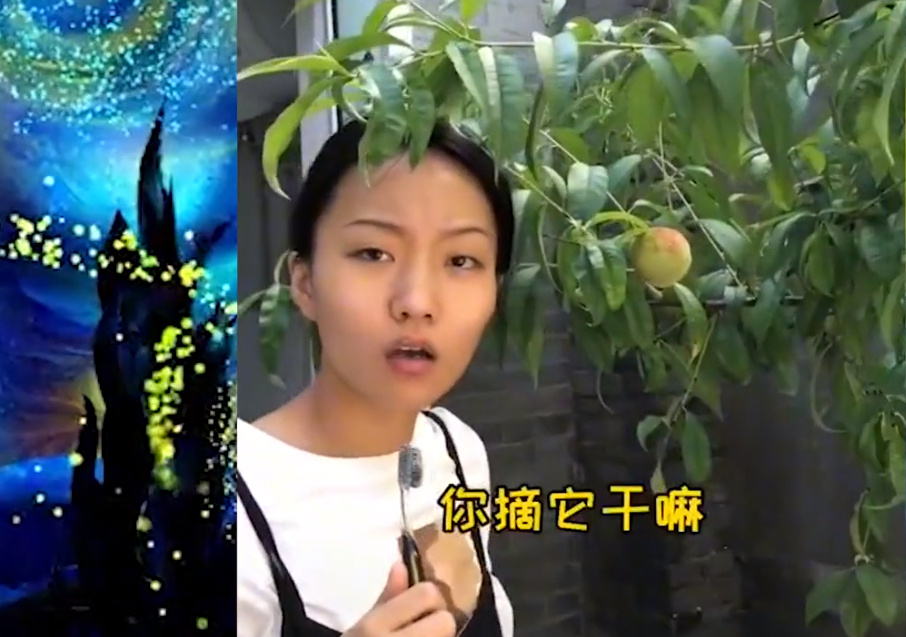 抖音疯产姐妹怎么不更新了？ 现在已经停更了54天(图1)