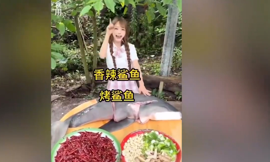 网红提子吃大白鲨原视频 曾直播吃油炸娃娃鱼(图1)