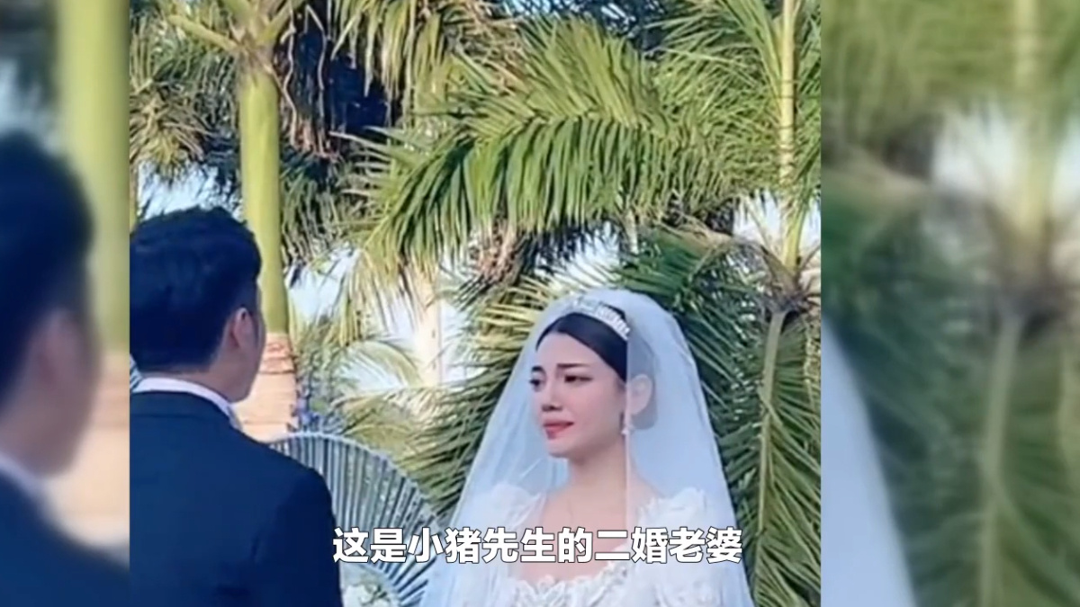 婚礼现场被前妻韩安冉送9999朵玫瑰的小猪先生是怎样的感受呢？(图1)