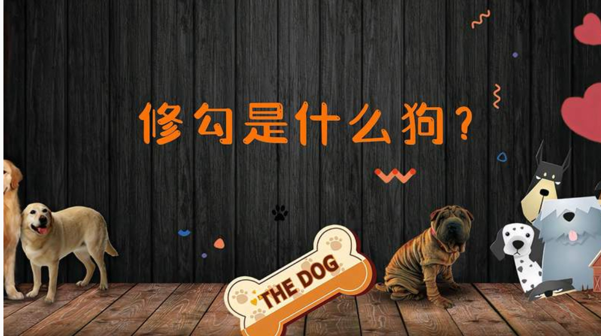 修勾是什么意思？ 为什么说网络用语修勾的梗真恶心？(图1)