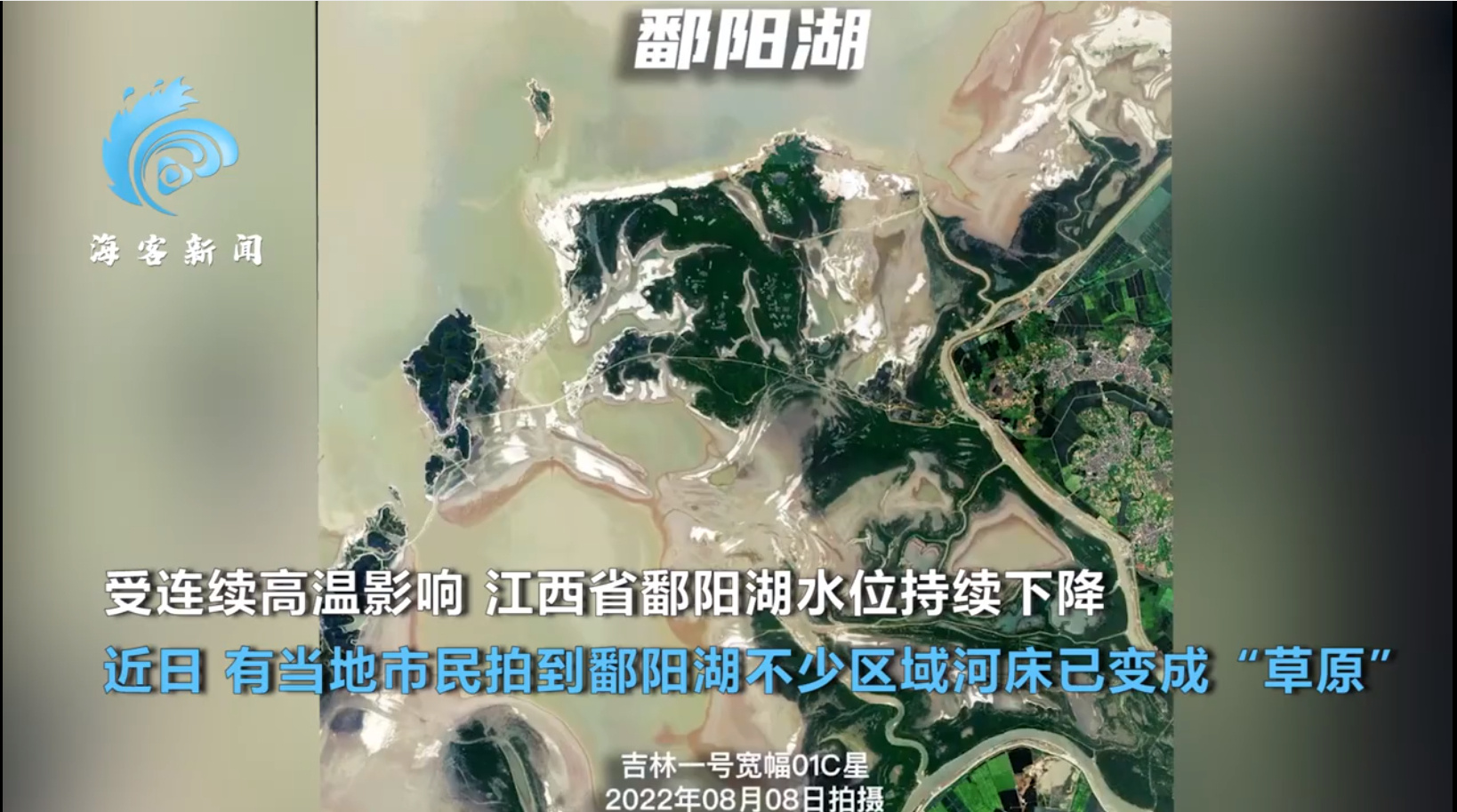 鄱阳湖现“大地之树”景观 昔日河床变草原(图1)