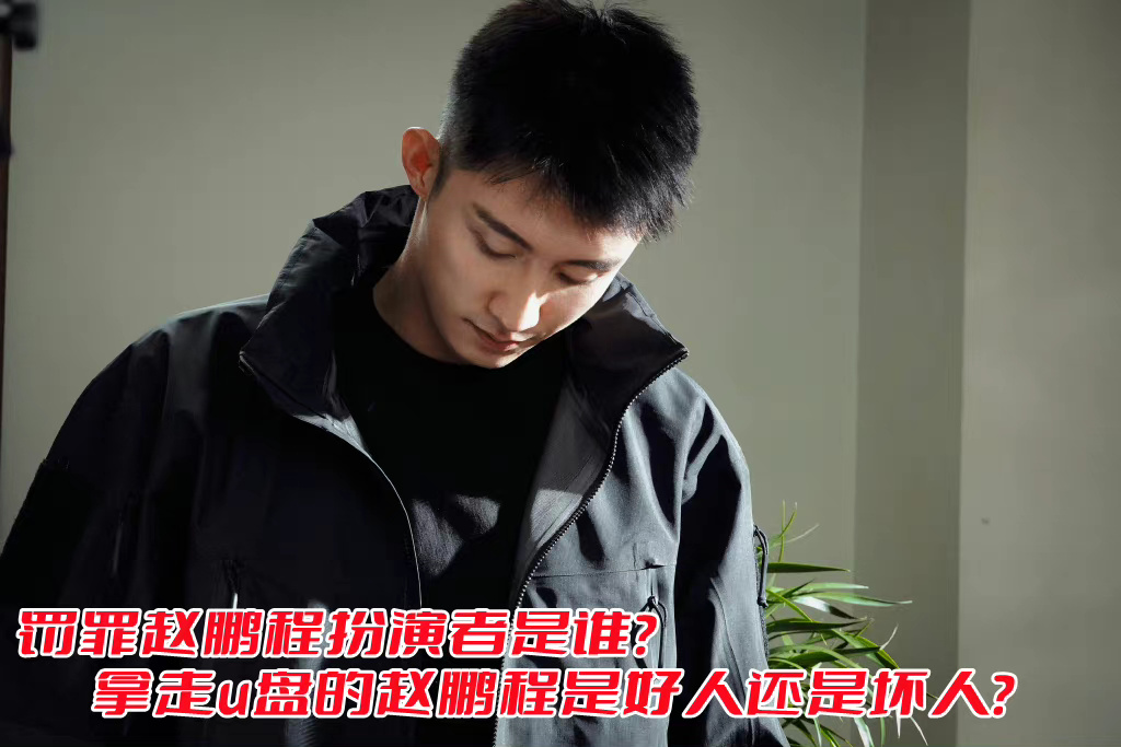 罚罪赵鹏程扮演者是谁？拿走u盘的赵鹏程是好人还是坏人？(图1)