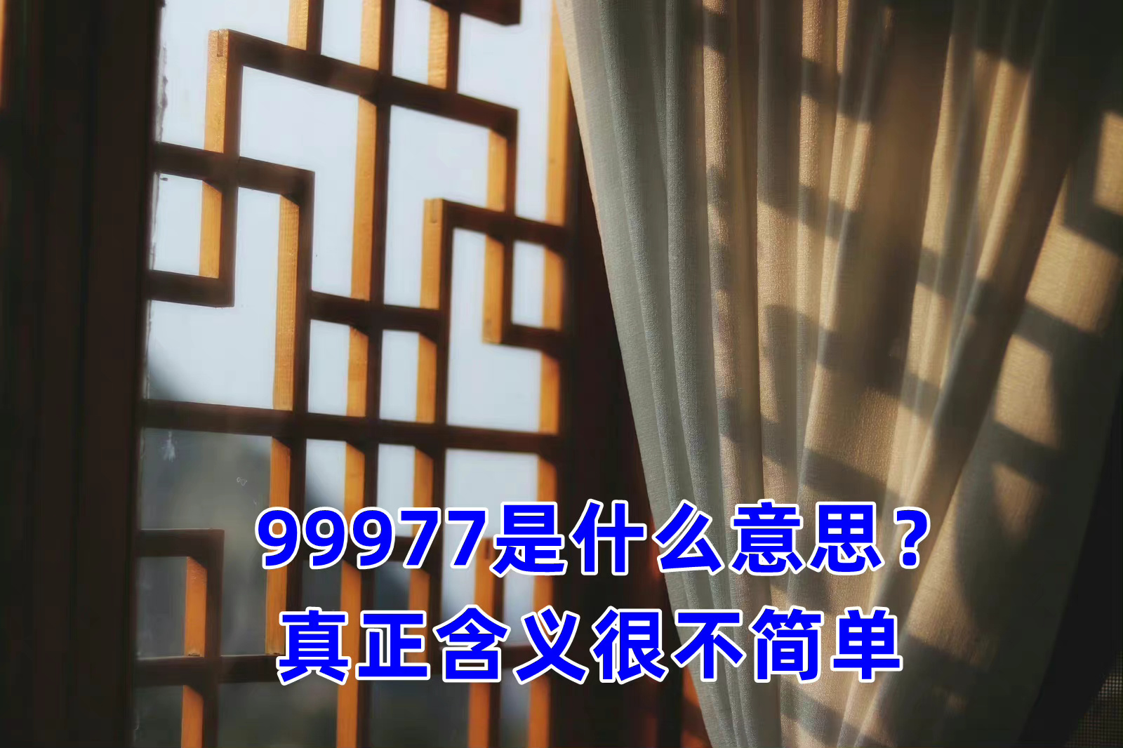 99977是什么意思？ 真正含义很不简单(图1)