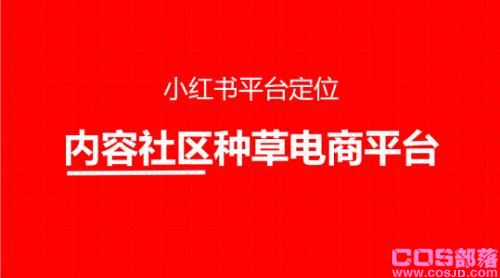 淘宝有“淘品牌”，抖音有“抖品牌”，小红书能产生“小红书品牌”吗？(图2)
